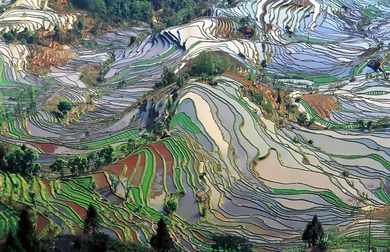 Photo of Yuanyang rice terraces, Yunnan, China